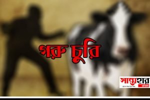 Santahar Cow theif