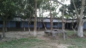 Sanatahar technical collage