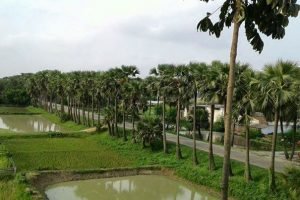 santahar barma road