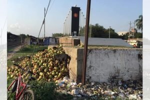 সান্তাহার স্বাধীনতা মঞ্চের আশপাশে ময়লার স্তূপ, অপসারনের দায়িত্ব নেবে কে?